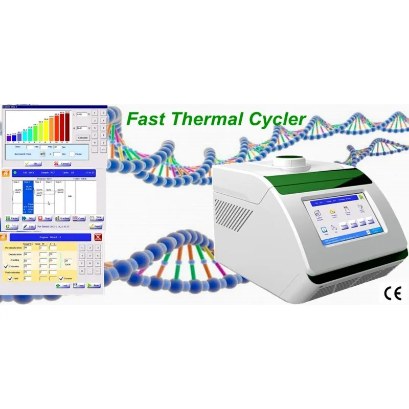 A300 بلتيير القائمة على شاشة لمس سريعة DNA في الوقت الحقيقي التدرج الحراري Cycler PCR آلة التدرج السريع PCR أداة