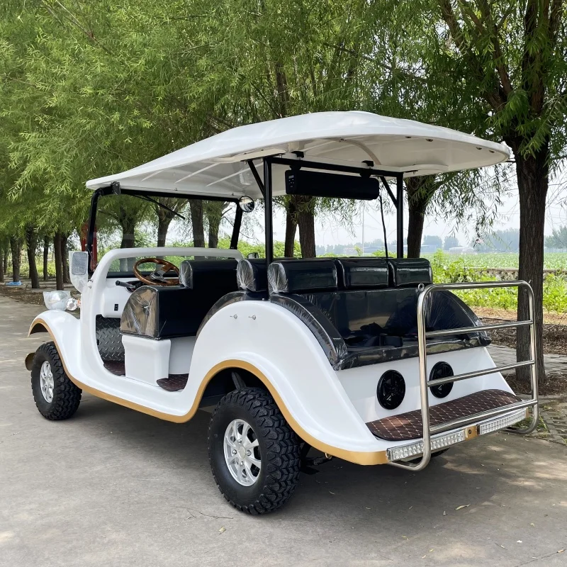 

Custom Color Golf Garden Car 5 8 11 14 Seats Vintage Retro Sightseeing Vehicles Car