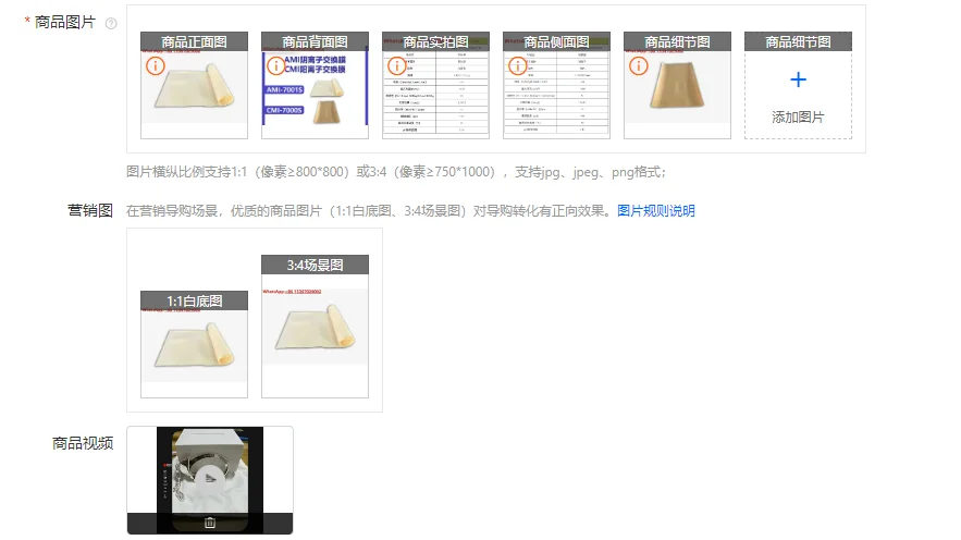 AMI-7001S Anion Exc…