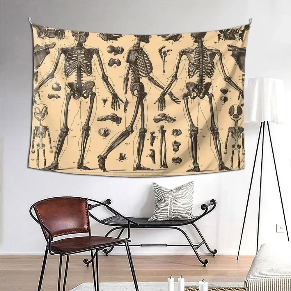 Vintage-Diagramm zur Anatomie des menschlichen Skeletts (1907) Wandteppichkunst Wandbehang Ästhetische Heimwandteppiche für Zimmer Schlafzimmer Schlafsaal