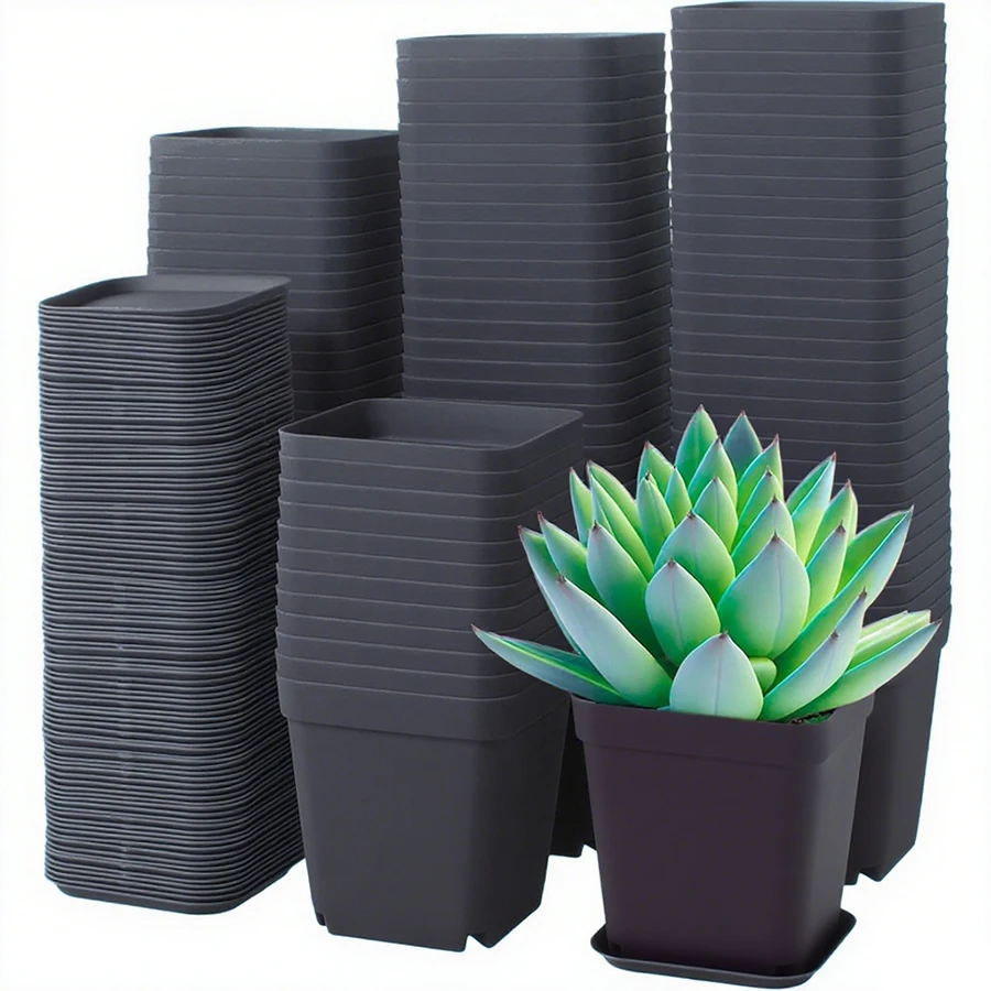 Pots de plantes à fleurs carrés noirs de 7cm, 10 pièces, avec plateau, plantes succulentes, Pot de pépinière, maison, bureau, jardinage, décor de balcon