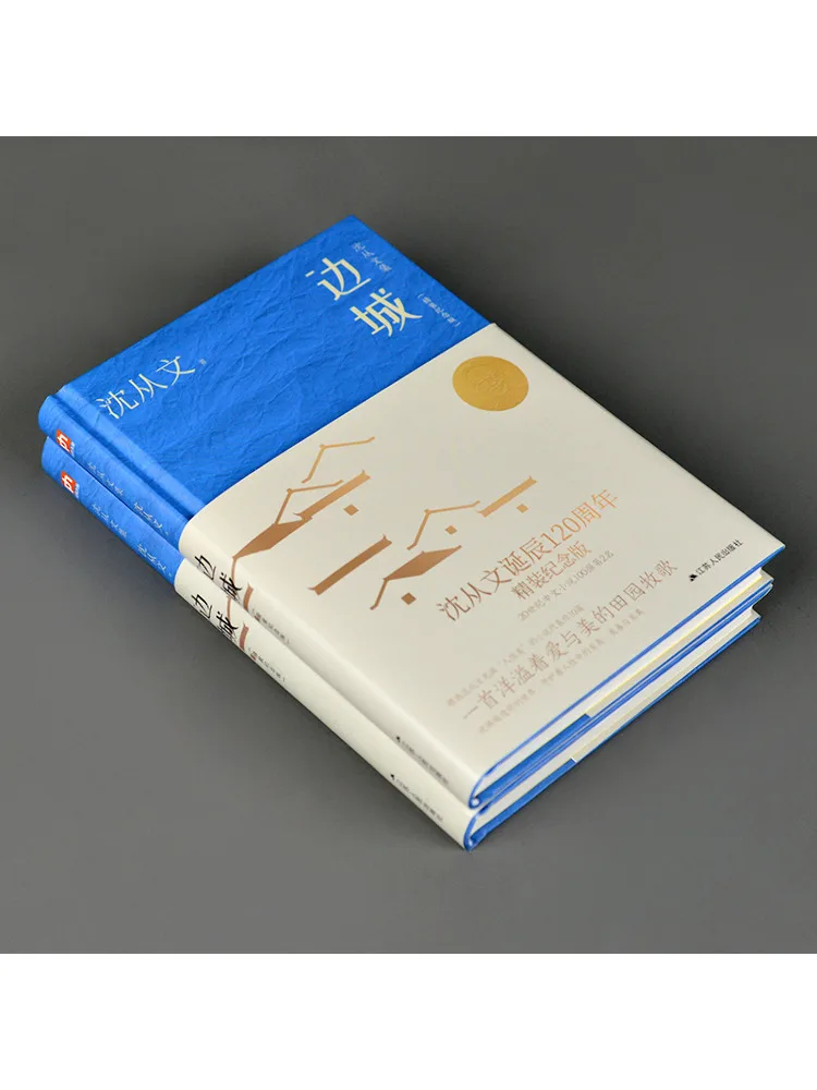 كتاب وينشير بوردر تاون إصدار تذكاري بغلاف فني #4