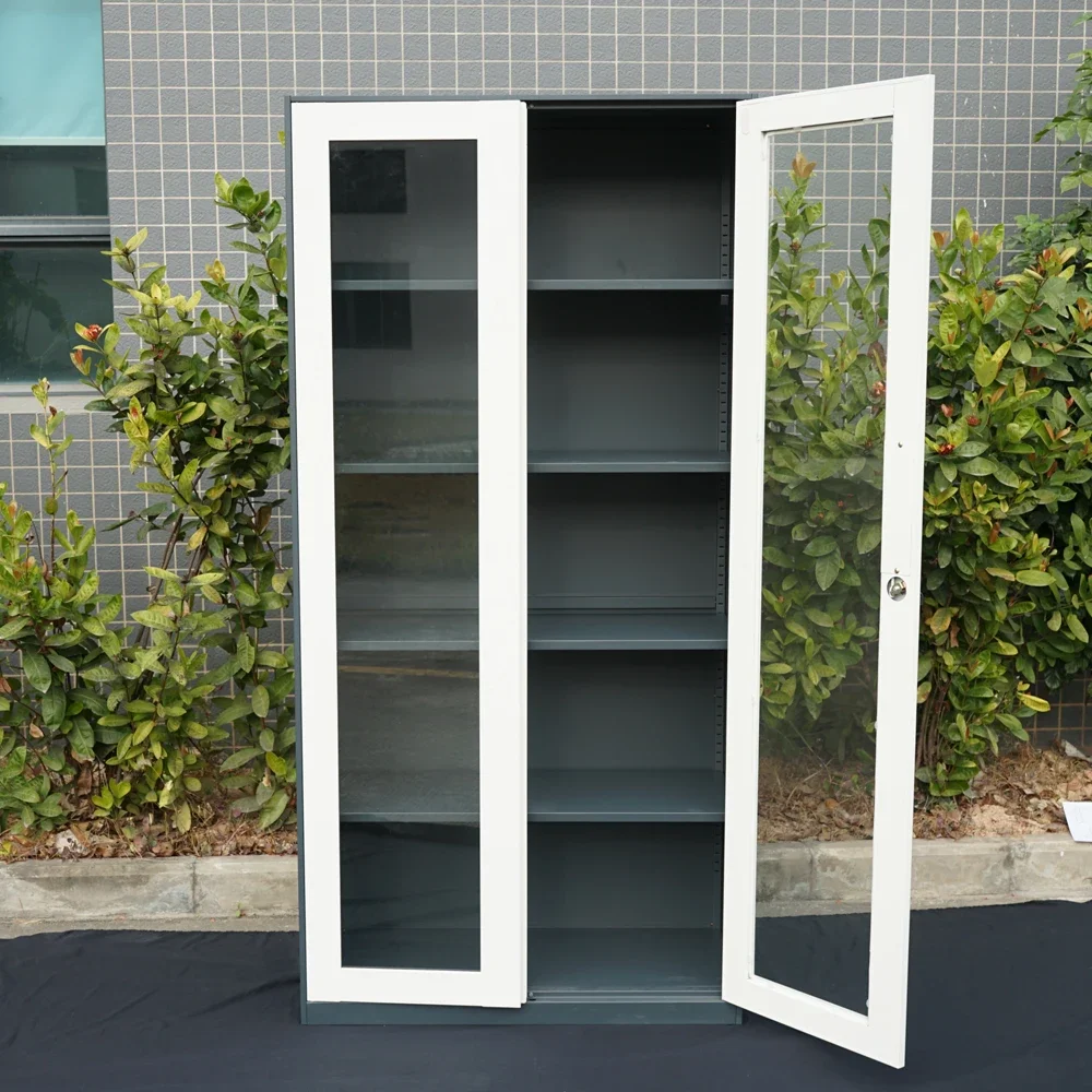 

S Direct Sale Modern 2-Door Steel Office File Cabinet with Glass Door for office