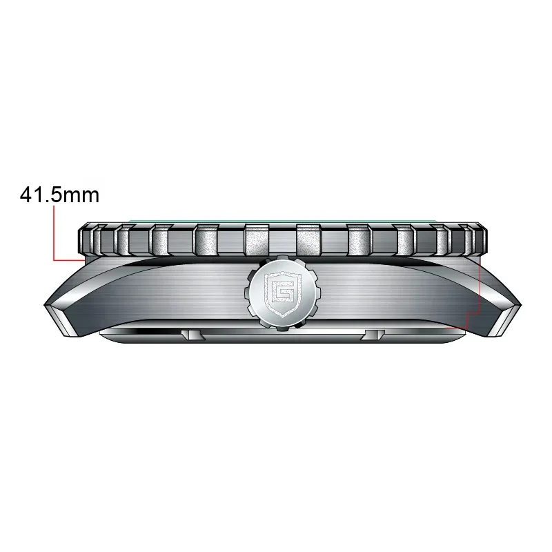 Top 10 Wrist Watch Brand 316l Stainless Steel Ceramic Bezel 20atm Custom Superluminova Bgw9 Dial/logo Nh35 Automatic Dive Watch