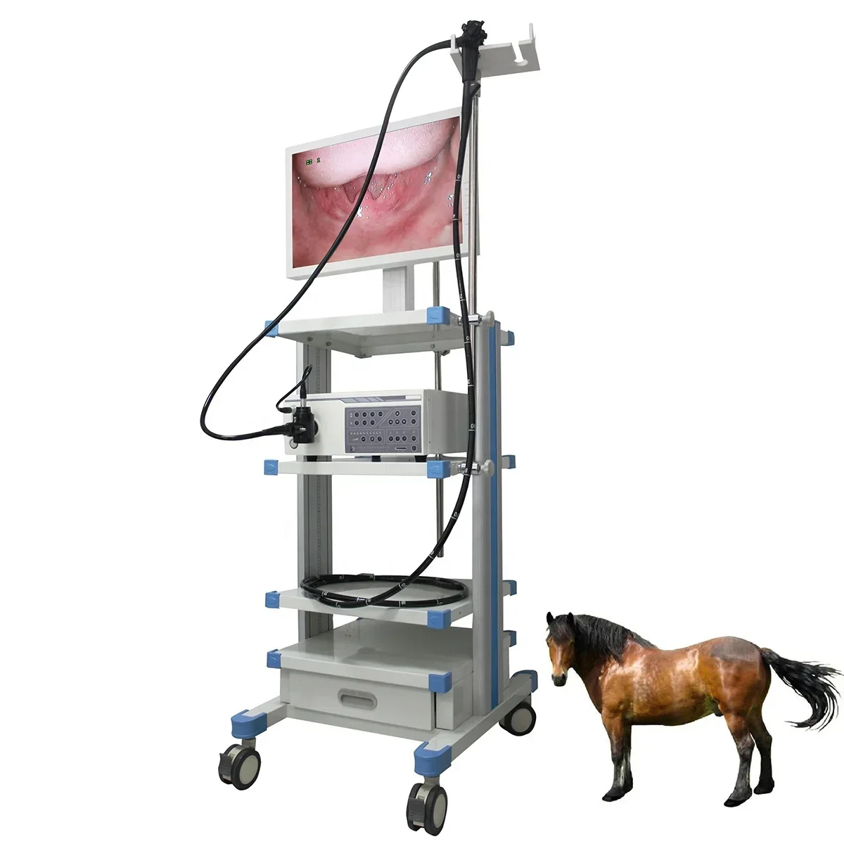 Trolley Video Gastroscope Colonoscope For Big Animal Endoscope Cow Horse Dolphin Whale