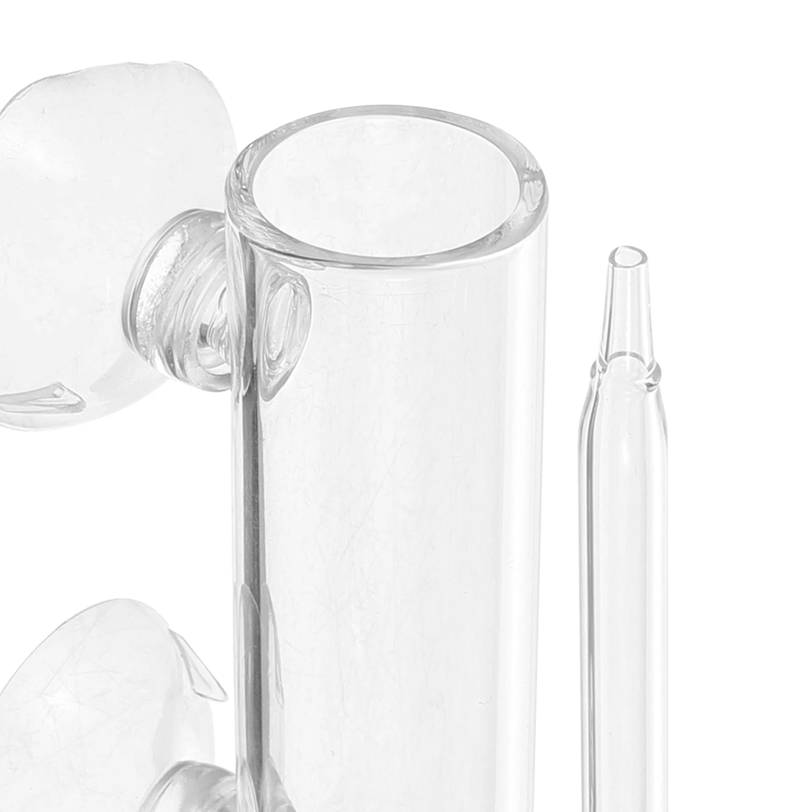 

1Set Glass Shrimp Incubator Transparent Breeding Box Suction Cup Design Easy to Clean Fish Tank Hatching Container