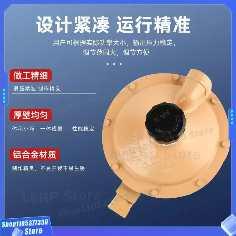 5503C4 Industrial High Turn Low Pressure Reducing Valve Thickened Body Explosion Proof Direct Manufacturer Supply for Gas