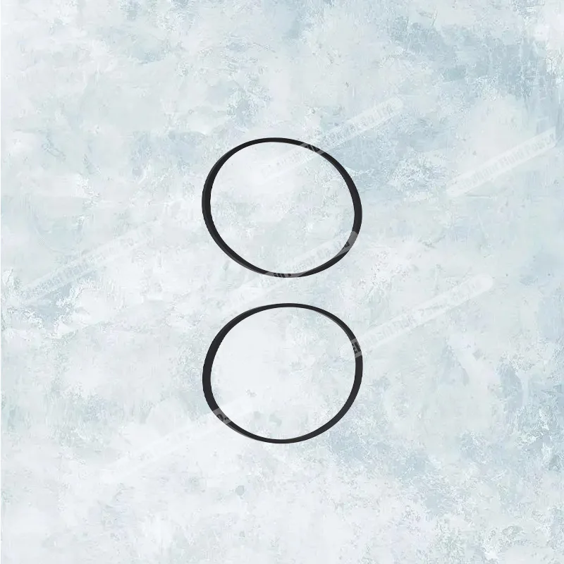 

Быстрая доставка, сменные детали коммерческого гидравлического зубчатого насоса Parker серии P31 391-2884-050