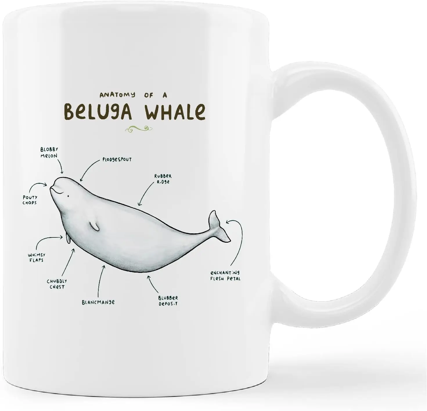 Cute Beluga Whale Mug Cup,Anatomy of A Beluga Whale Ceramic Mug-11oz Coffee Milk Tea Mug Cup,Whale Lovers Gifts,Girls Boys Men S