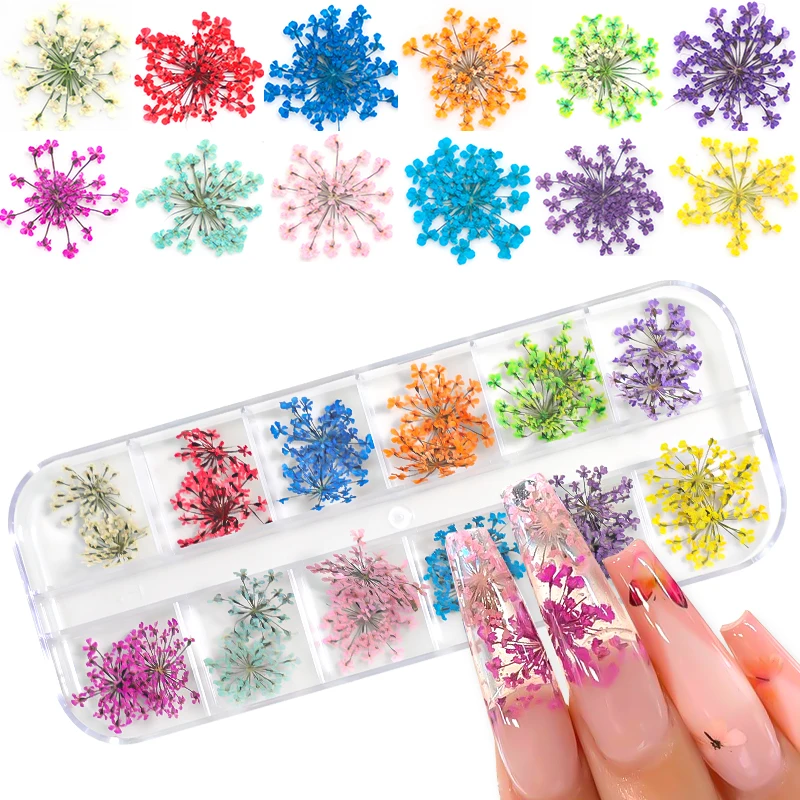 3D trockene Blume Nail Art Dekoration echte Mini getrocknete Blüte Aufkleber natürliche Blumen Charms Designs DIY Maniküre Nägel Zubehör