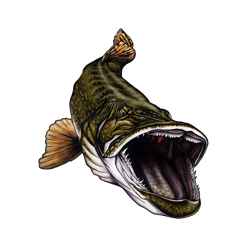 

Creative Fish Fishing DIY Graffiti Pattern Car Sticker Vinyl Decal Window Bumper Boat Tackle Box Sticker Car Decoration