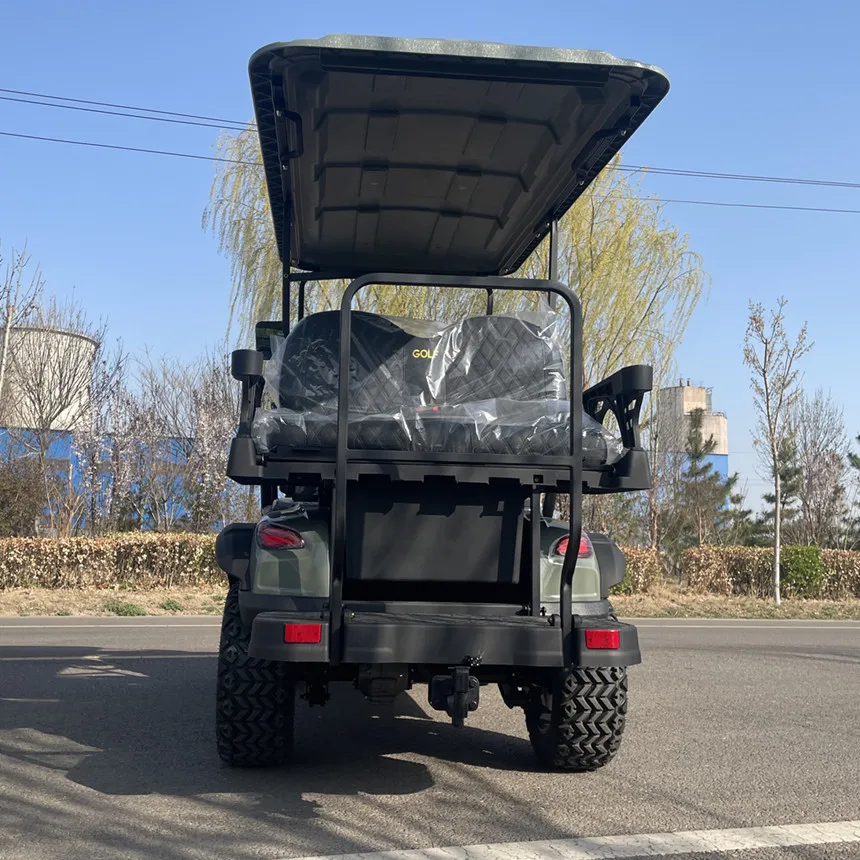 Electric Golf Cart Shopping Cart Electric Car 2 Seater 150W Solar Panels Powered  Golf Scooter Golf Cart Electric Sale