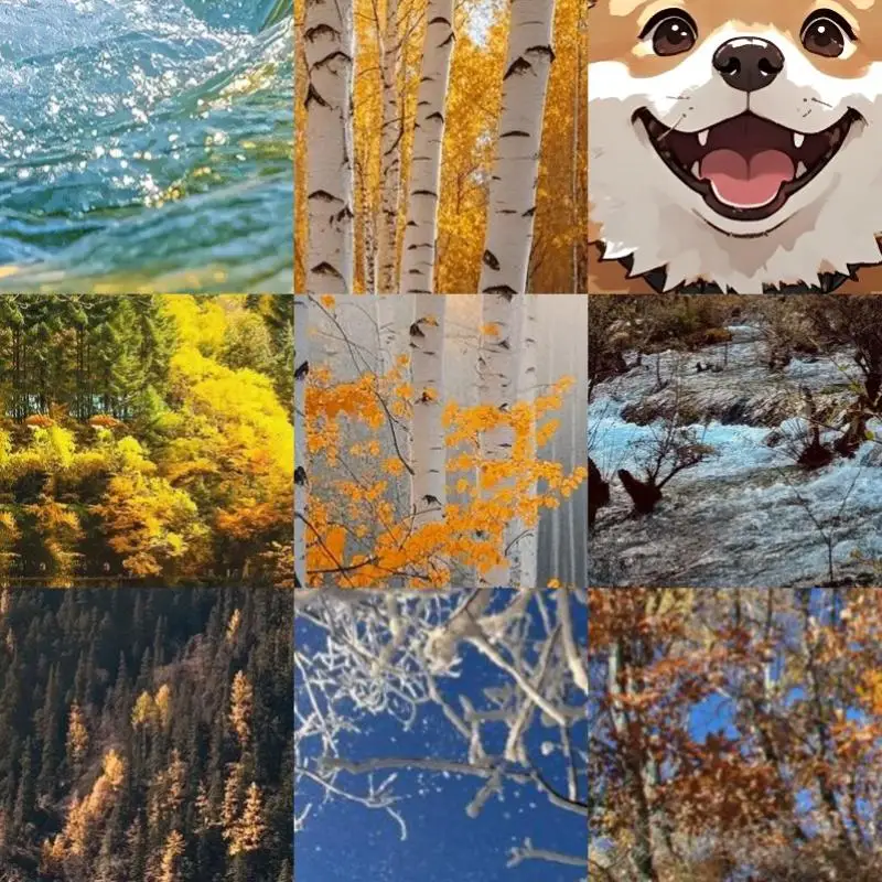 

INA260 High Or Low Side Voltage Current Power Sensor High Precision Current Power Sensor Portable Module Low Power DC 3.3V-5V