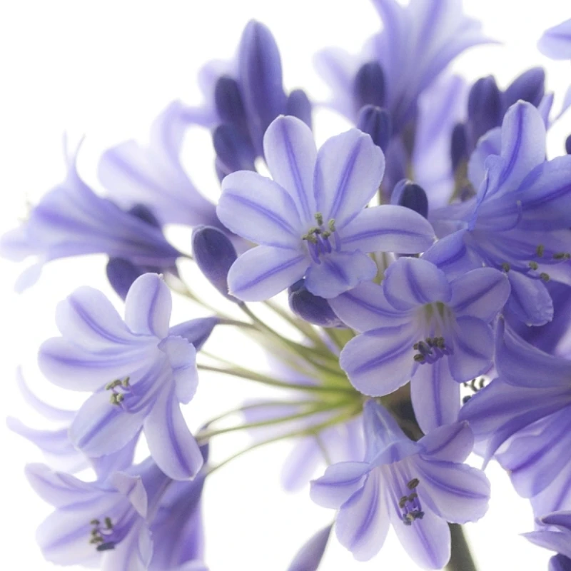 

No longer worry about pigmentation issues