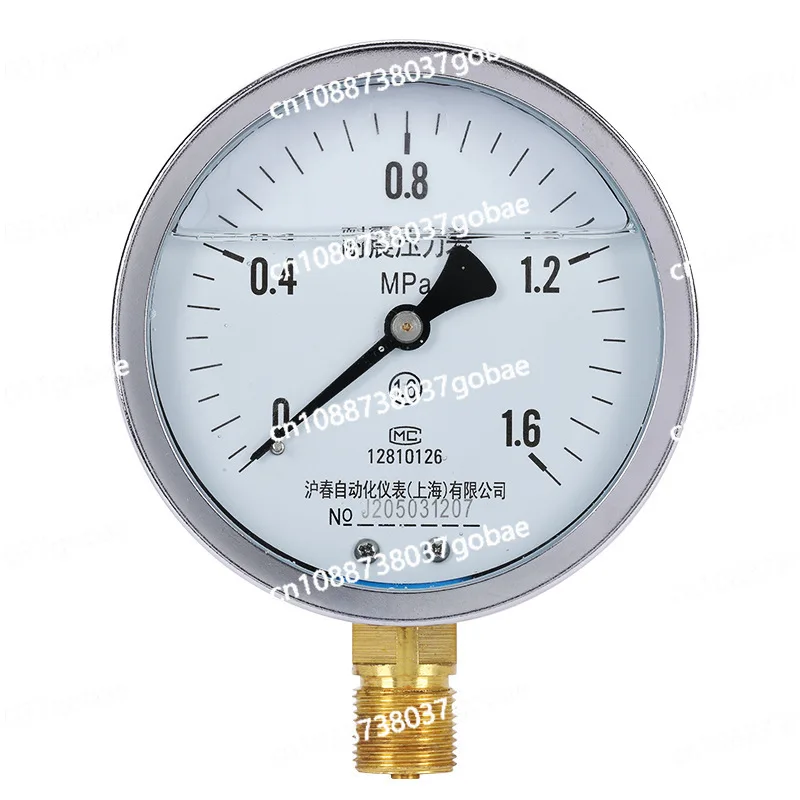 YN100 Seismic Pressure Gauge Hydraulic Hydraulic 0-1.6 MPa Vacuum Seismic Pressure