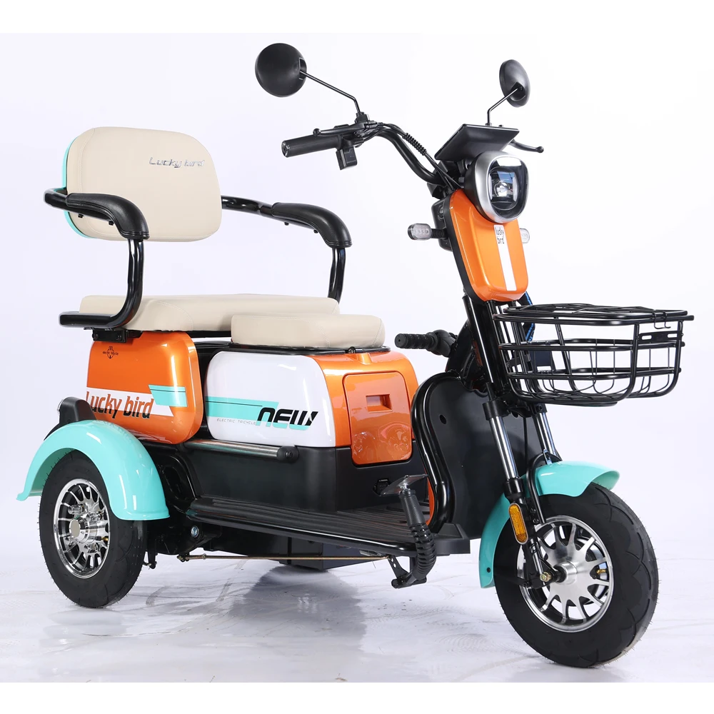 

Low Price OEM Logo Three Wheel Electric Bike 60V 800W Electric Tricycle for Adults