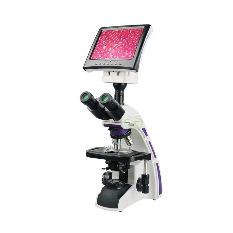 

MY-B129F1 High quality color LCD display Digital Electronic Video Biological Microscope price for Lab