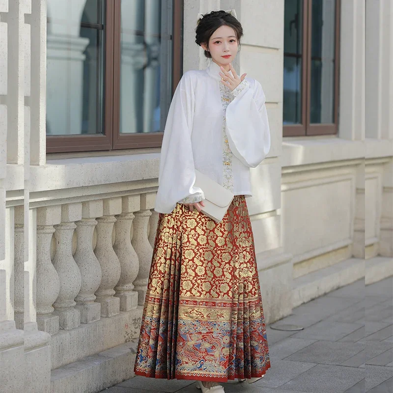 YanBinSha-Jupe Hanfu de la dynastie Ming originale pour femme, broderie exquise, visage de cheval, lecture plissée, 6m, haute qualité