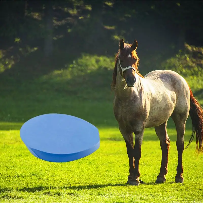 Hoefijzerlaarzen Voor Paarden Paardenverzorging Laars Hoeflaarzen Rubber Hoefijzervullingen Comfortabele Dagelijkse Hoefverzorging Voor Voeten