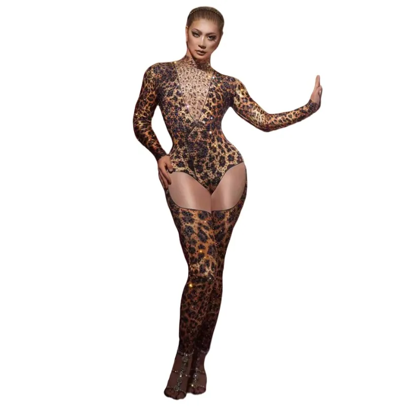 Vrouwen Strass Luipaard Strakke Jumpsuit Bar Elastische Lange Mouw Gedrukt Turnpakje Zanger Danser Stage Performance Danskostuum