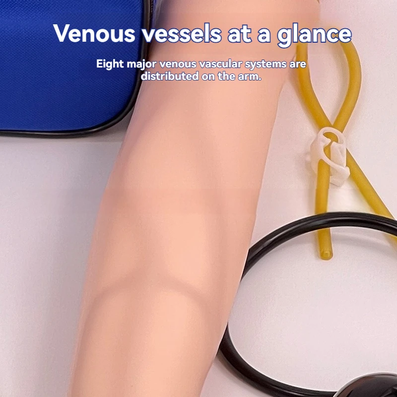 

Life-Size Anatomical Phlebotomy Practice Arm for Venipuncture Injection Medical Simulation Nurse Training Kit