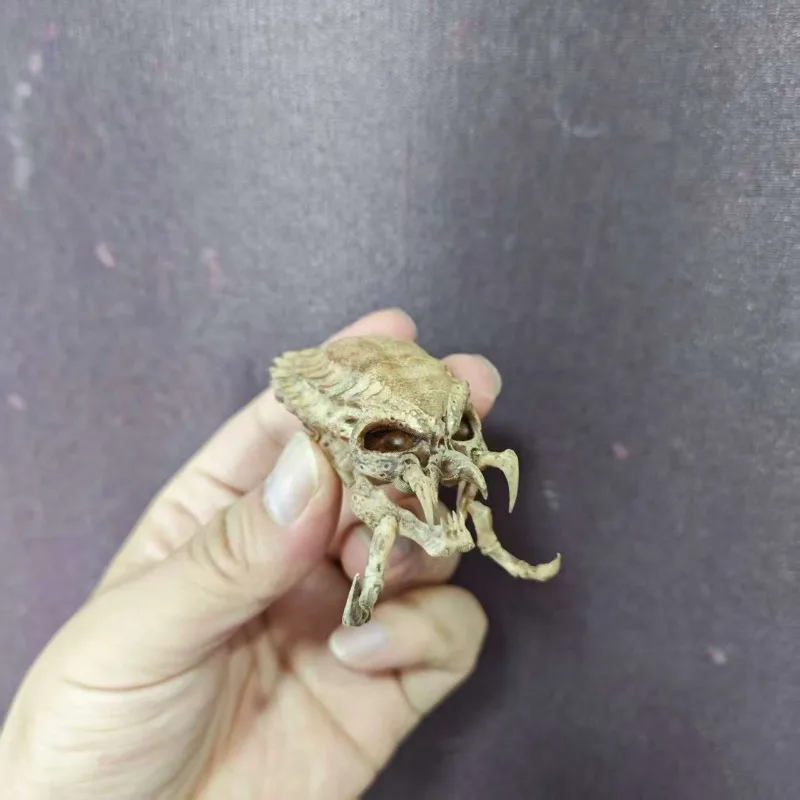 Crâne de sang en fer, échelle 1/6, accessoires de décoration de crâne de colonne cervicale, scène de soldat pour la maison, NECA, 1/12