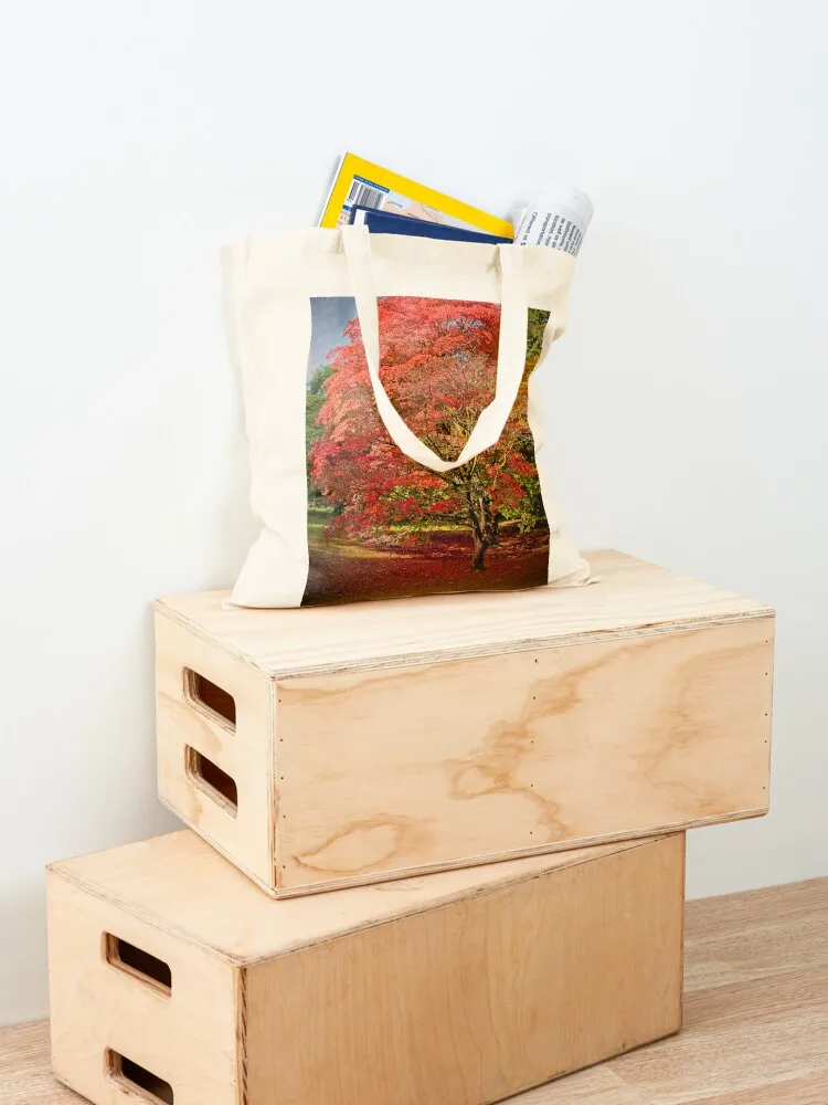 Autumn Acer Tree Westonbirt Arboretum Cotswolds Tote Bag Custom bag tote bag men tote custom Women's handbag