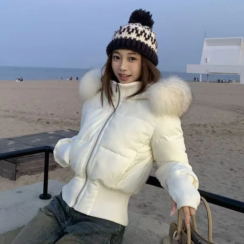 Little Seagull Korean Cotton-padded Women's Short Fall Winter 2026 New Sweater Collar Closed Waist and Thin Cotton-padded Jacket