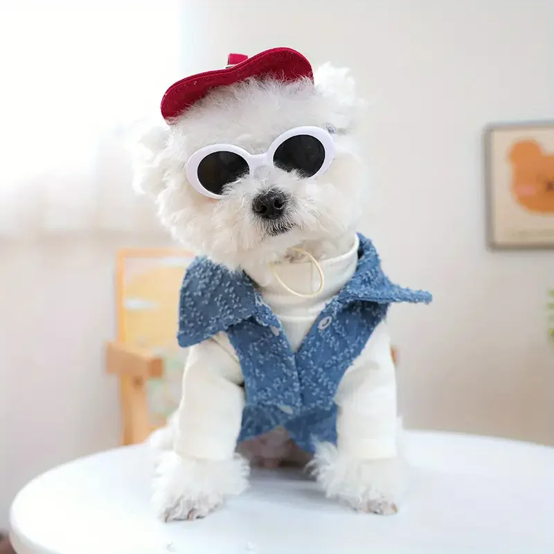 Hunde-Mode-Baseballkappe mit Sonnenbrille, Haustier-Sonnenhut, Hunde-Straßenfotografie, Reise-Mode, Foto-Requisiten