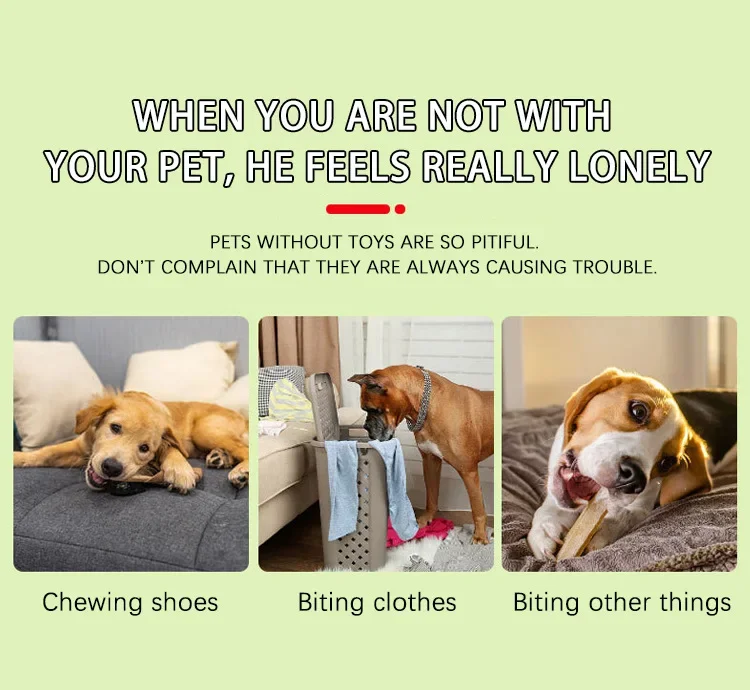 Hot Selling Small Dog Flash Pet Ball TPR Three Color Glowing Elastic Ball Training Interactive Throwing Dog Ball Dog Toys For