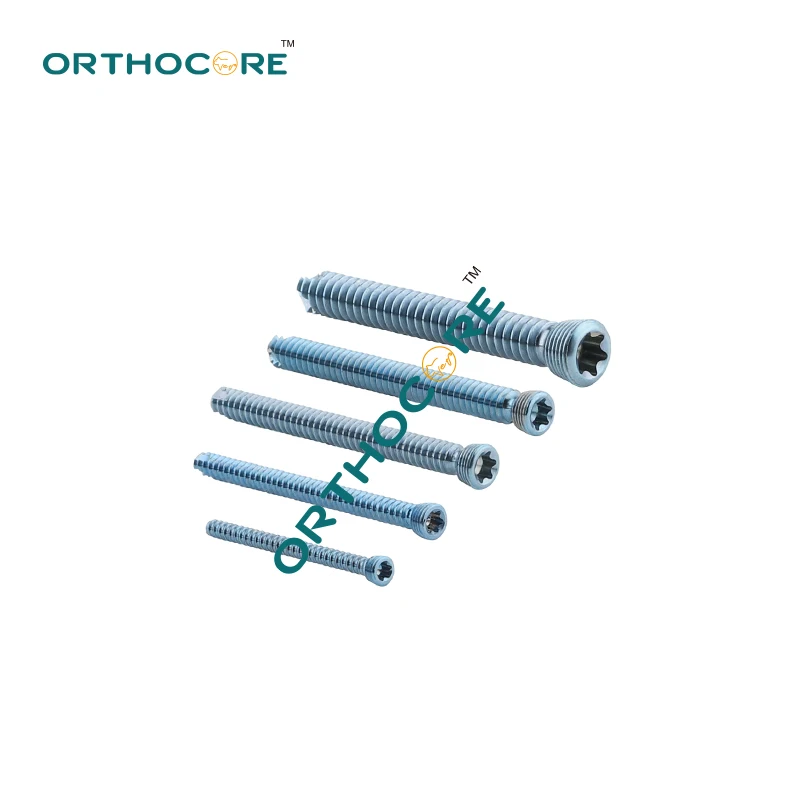 2.0mm AO Titanium Locking Screws Veterinaria Pets  Orthopedic Sugical Instruments Tools Medical Supplies and Equipments