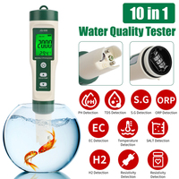 10 in 1 Water Quality Test PH/TDS/SALT/SG/ORP/EC/Hydrogen/Resistivity/TEMP/Nutrient Multifunction Testing Pen for Pool Aquarium