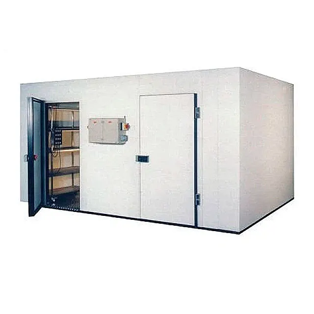China Cold Room Supplier Cold Room Panel Cold Storage Room Walk in Cooler Freezer for Food