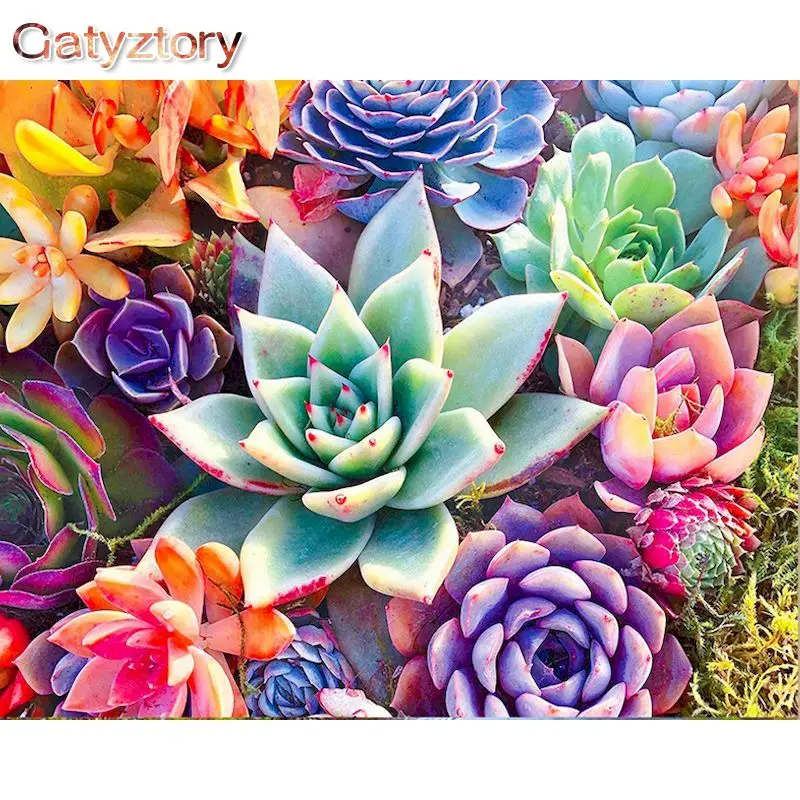 

GATYZTORY Paint By Numbers 40x50cm Frame Colorful Succulent Plant Picture By Number HandPainted Unique Gift Home Decor Artwork