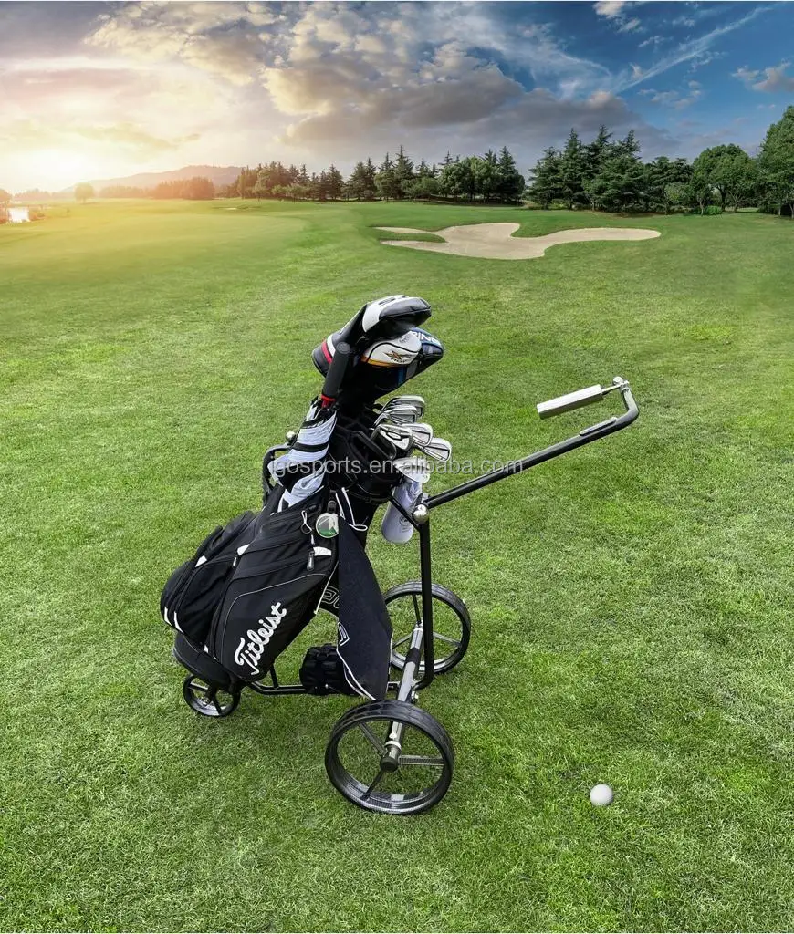 

Carro De Golfe Controle Remoto