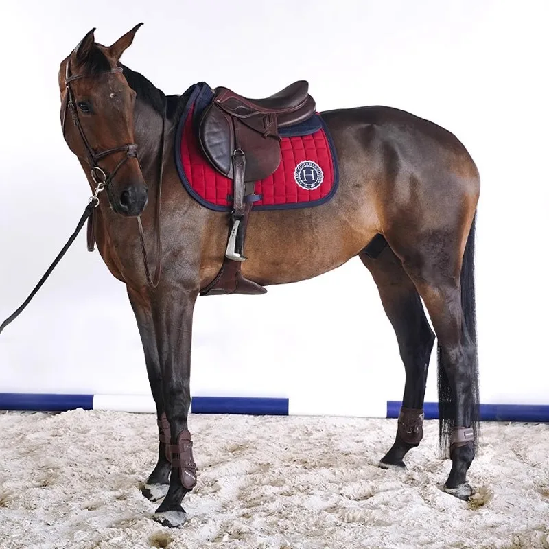 Harcour Safine - Almohadilla de Montar Francesa Starlight para Obstáculos y Doma Clásica, Equipo Ecuestre