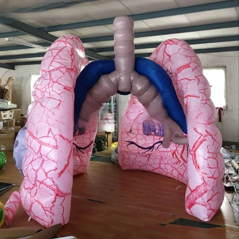 3 meter 10 foot tall high quality fully printed giant human inflatable lung model inflatable organ for educational displays cust