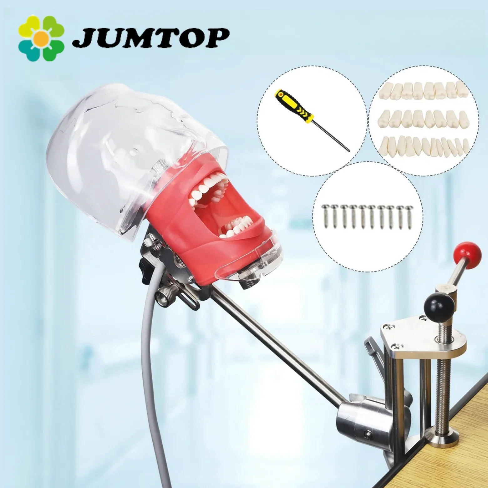 

JUMTOP Dental Simulation Head Mold with 28Pcs Teeth Clamp Table Type Manikin Phantom