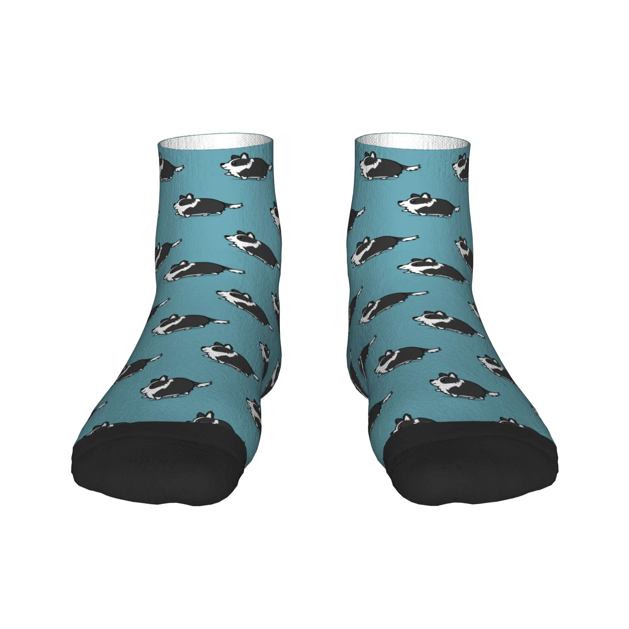 

Милые носки бордер-колли в стиле Харадзюку, высококачественные чулки, всесезонные носки, аксессуары для подарков унисекс