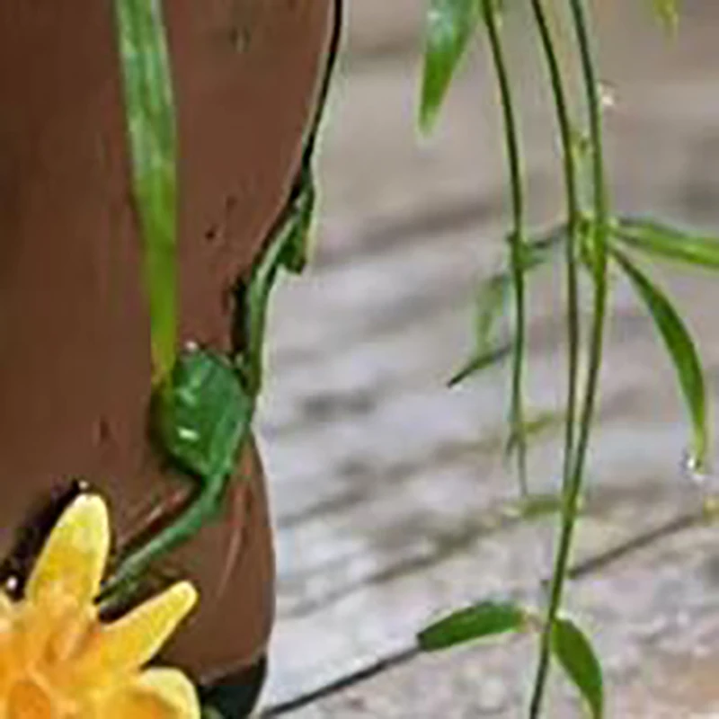 

Creative Rain Boot Flowerpot For Garden Balcony Outdoor Decoration Present Unique Boot Shaped Vases Resin Elegant -Hydroponic