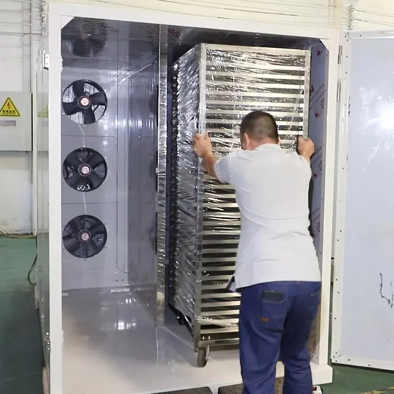 Food Dehydrator Customized, Heat Pump Commercial Oven 300-500Kg for Beef Jerky Meat Chili Vegetables and Fruit Drying