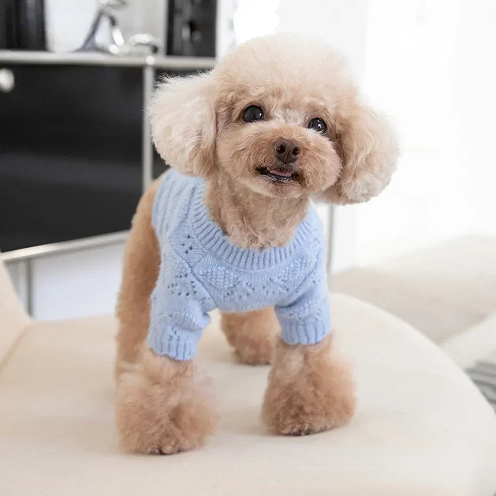 Outono inverno animal de estimação malha cardigan macio bonito ártico velo camisola cardigan roupas para animais de estimação gato e cão roupas urso