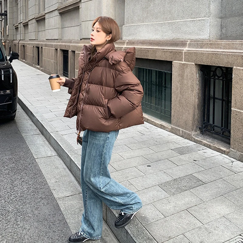 Windproof Zipper Up Stand Collar Puff Parkas Women Thicken Warm Hooded Down Cotton Coats Woman Korean Long Sleeve Short Parkas