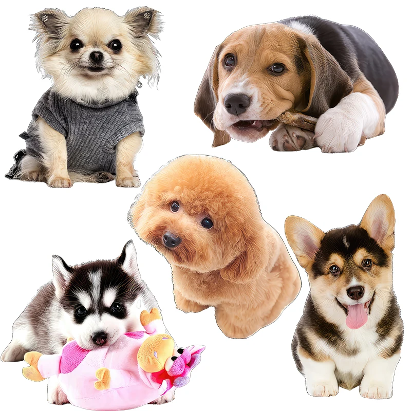 Three Ratels QD148 Cute Pet Dog Waterproof Car Sticker Refrigerator Furniture Scratches Cover decals kid's Bedroom Wall sticker