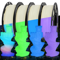3D Printer Filament Glow In The Dark PLA 1.75mm 250g 1kg PLA Rainbow Filament Color Change 3d Printing Material Blue Green Red