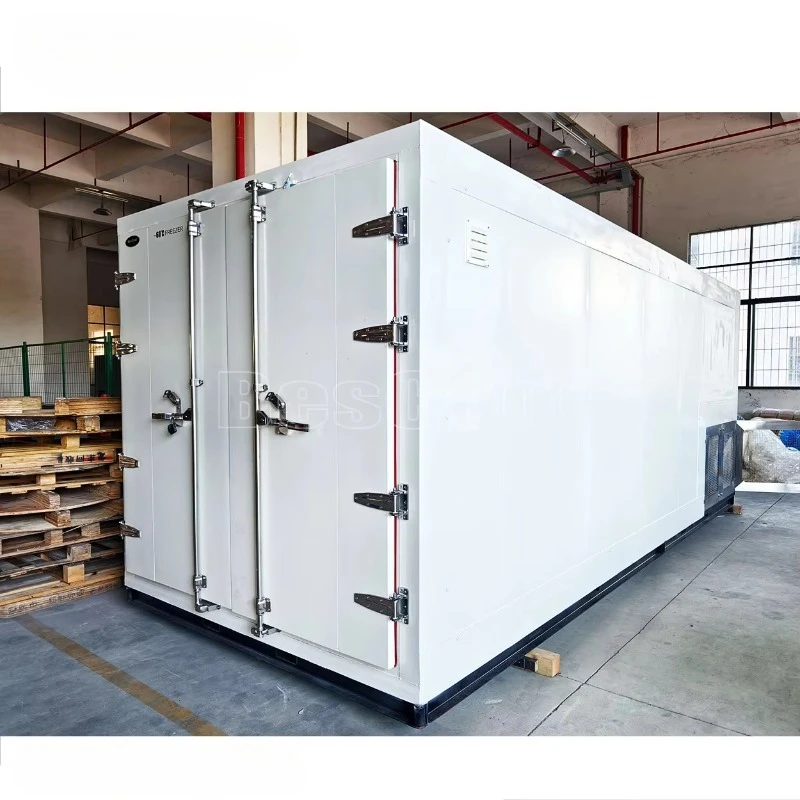 

Customized All-In-One -85~-60 Degree Mobile Blast Freezer Compressor 380V Cold Room Storage Reefer