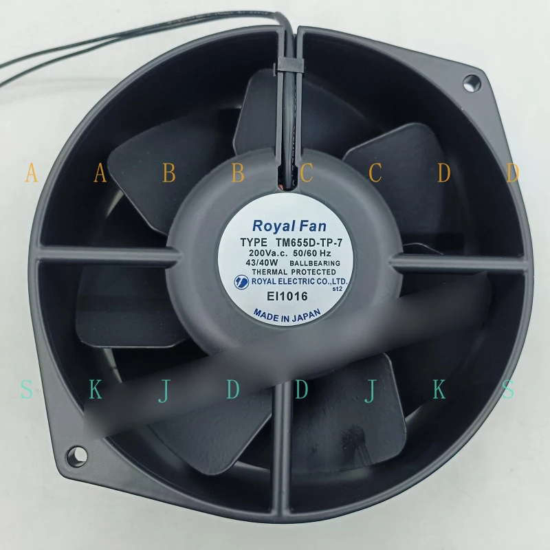 M New Royal Fan TM6…