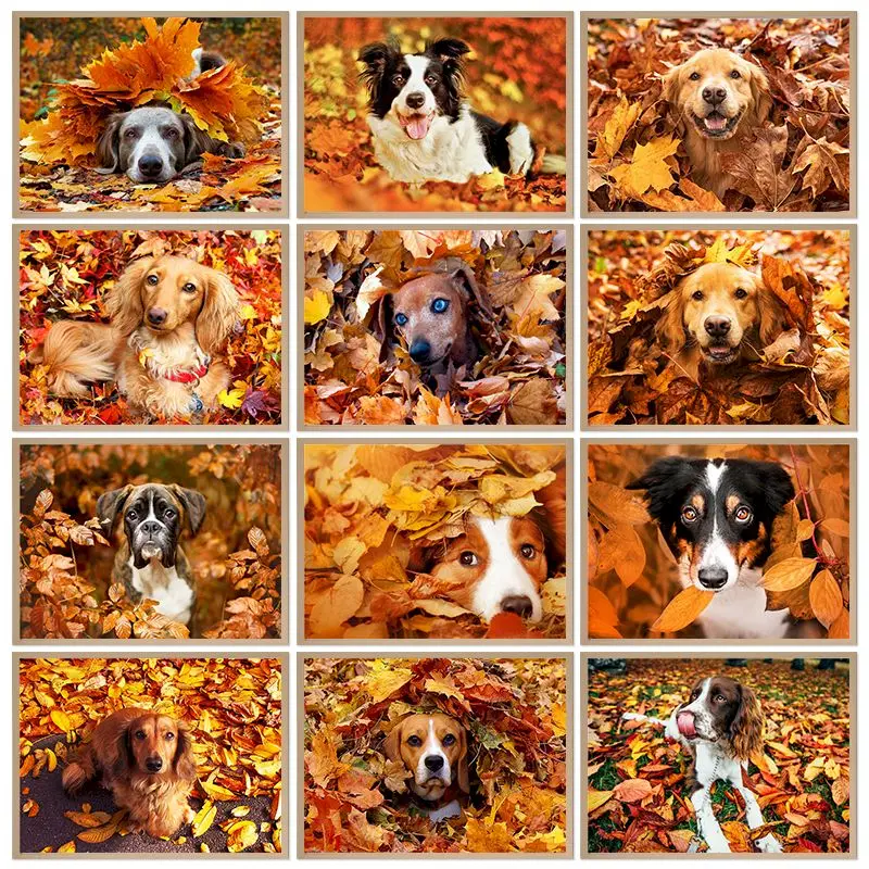 GATYZTORY 60x75cm Painting By Number Maple Leaves Dog Art Diy Frame Pictures By Numbers Animal Acrylic Canvas Home Decoration