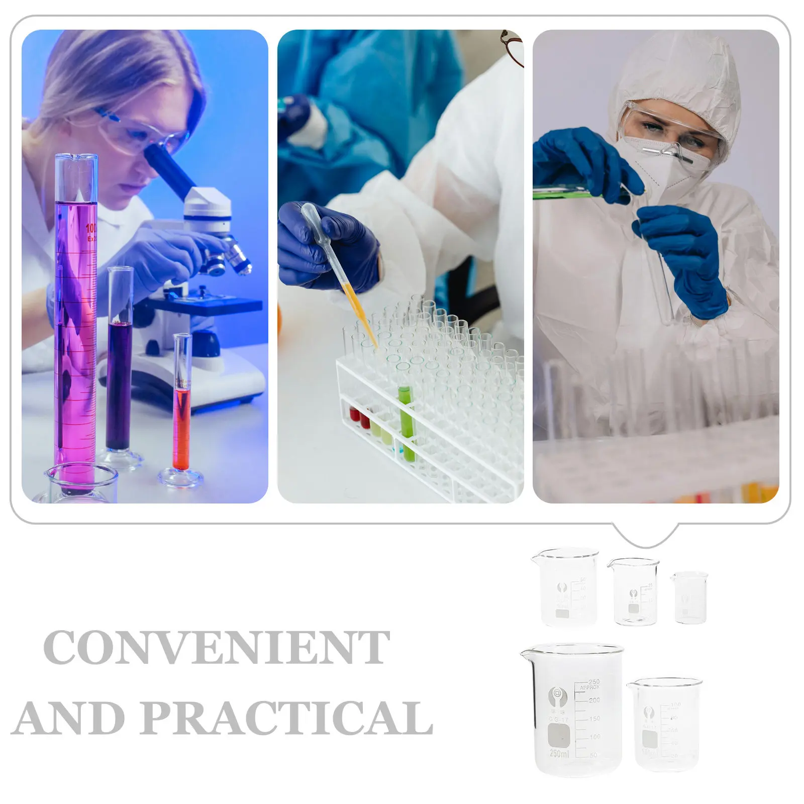 5Pcs Chemistry Beaker Glass Beakers Set Laboratory Beaker Measuring Cup Graduated Measuring Low Form Cup lab Experimental Beaker