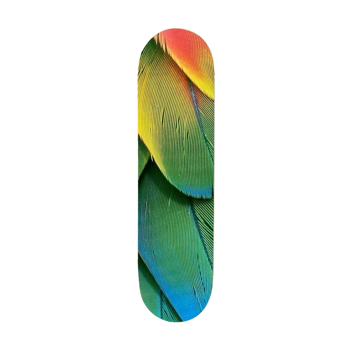 Green Parrot Feather Print Skateboard Stickers Self-Adhesive Vinyl Waterproof Decorative Accessories Skateboard Stickers Gift